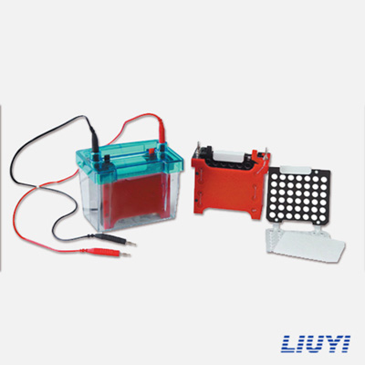 北京六一DYCZ-40D轉(zhuǎn)印電泳儀(小號)