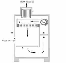 II類(lèi)A2 BSC型桌面模型